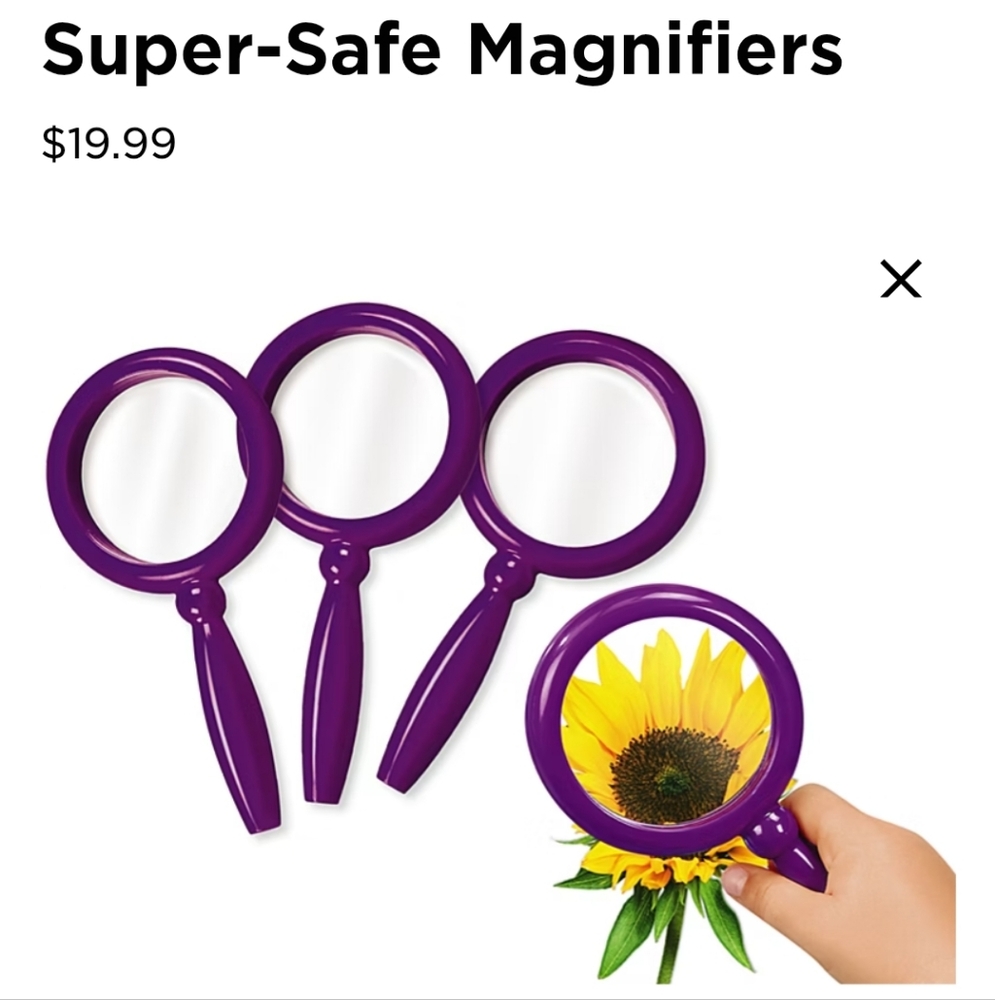 Lakeshore Purple Magnifying Glass Set
